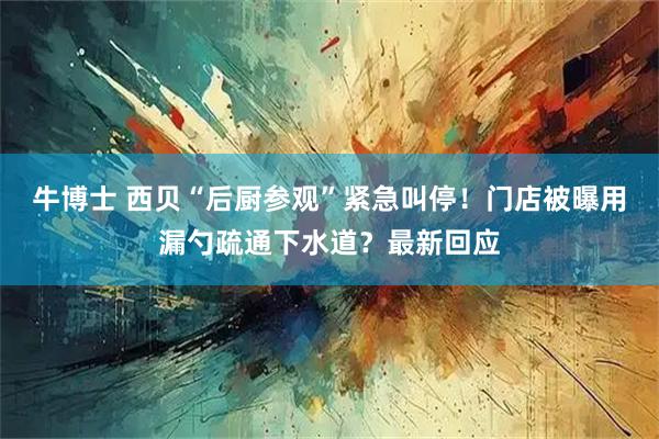 牛博士 西贝“后厨参观”紧急叫停！门店被曝用漏勺疏通下水道？最新回应