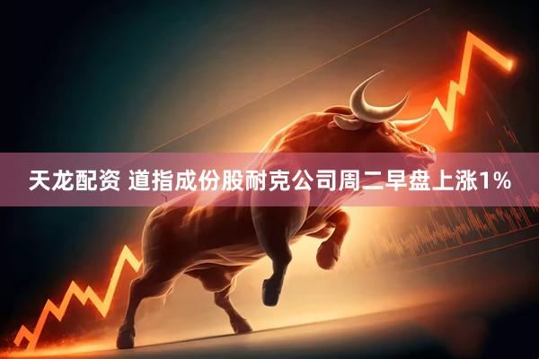 天龙配资 道指成份股耐克公司周二早盘上涨1%
