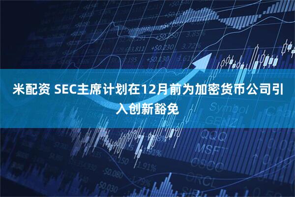 米配资 SEC主席计划在12月前为加密货币公司引入创新豁免