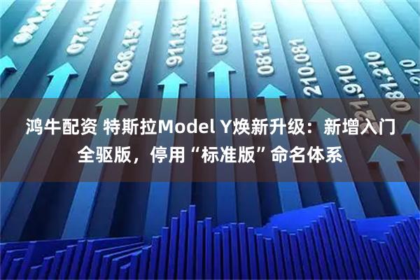 鸿牛配资 特斯拉Model Y焕新升级：新增入门全驱版，停用“标准版”命名体系