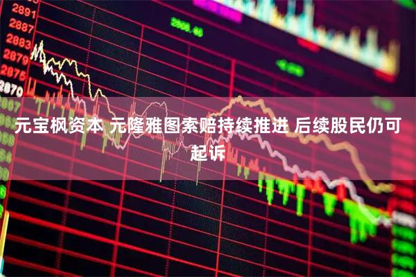 元宝枫资本 元隆雅图索赔持续推进 后续股民仍可起诉