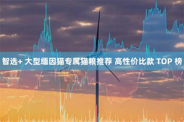 智选+ 大型缅因猫专属猫粮推荐 高性价比款 TOP 榜